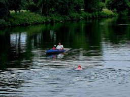Mainschwimmen Juni 2026